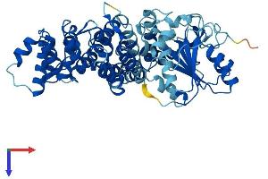 AlphaFold protein structure predicition of Mouse Recombinant RO60 Protein, UniprotID O08848