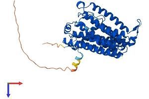 AlphaFold protein structure predicition of Human Recombinant CEPT1 Protein, UniprotID Q9Y6K0