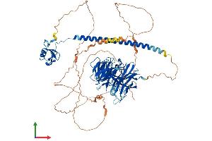 AlphaFold protein structure predicition of Mouse Recombinant Rfwd3 Protein, UniprotID Q8CIK8