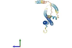 AlphaFold protein structure predicition of Human Recombinant CHMP2A Protein, UniprotID O43633