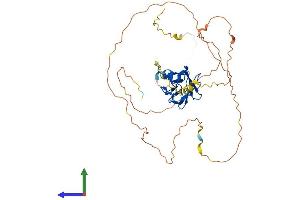 AlphaFold protein structure predicition of Human Recombinant RUNX3 Protein, UniprotID Q13761