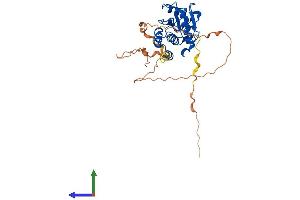AlphaFold protein structure predicition of Mouse Recombinant Dusp11 Protein, UniprotID Q6NXK5