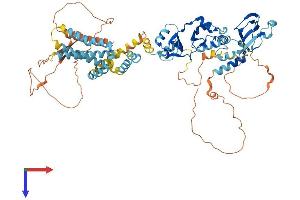 AlphaFold protein structure predicition of Mouse Recombinant Cnnm3 Protein, UniprotID Q32NY4