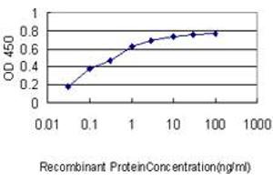 anti-Non-SMC Condensin I Complex, Subunit H (NCAPH) (AA 645-741) antibody
