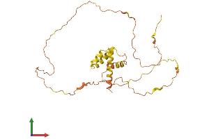 AlphaFold protein structure predicition of Human Recombinant FAM220A Protein, UniprotID Q7Z4H9