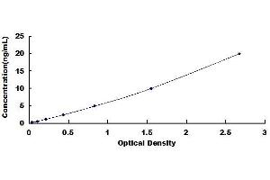 Typical standard curve (CRTC3 Kit ELISA)