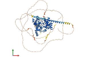AlphaFold protein structure predicition of Mouse Recombinant Tbc1d10b Protein, UniprotID Q8BHL3