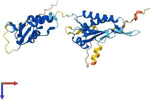 AlphaFold protein structure predicition of Mouse Recombinant Kctd10 Protein, UniprotID Q922M3