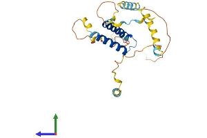 AlphaFold protein structure predicition of Mouse Recombinant Cdca4 Protein, UniprotID Q9CWM2