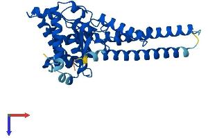 AlphaFold protein structure predicition of Mouse Recombinant Dhdds Protein, UniprotID Q99KU1