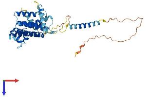 AlphaFold protein structure predicition of Human Recombinant TMEM115 Protein, UniprotID Q12893