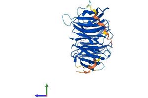 AlphaFold protein structure predicition of Human Recombinant WDR77 Protein, UniprotID Q9BQA1