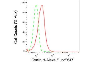 Flow cytometric analysis of Cyclin H expression in HepG2 cells using Cyclin H antibody (ABIN7798202), 1:2,000).