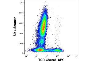 Flow cytometry surface staining pattern of human peripheral whole blood stained using anti-human TCR Cbeta1 (JOVI. (TCR, Cbeta1 anticorps (APC))