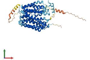 AlphaFold protein structure predicition of Human Recombinant SLC17A4 Protein, UniprotID Q9Y2C5