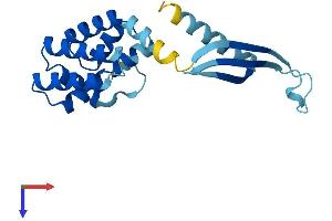 AlphaFold protein structure predicition of Mouse Recombinant Commd7 Protein, UniprotID Q8BG94
