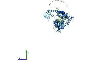 AlphaFold protein structure predicition of Human Recombinant ACTN3 Protein, UniprotID Q08043