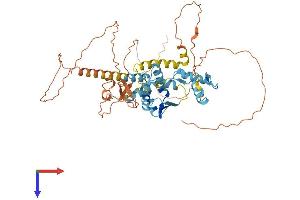 AlphaFold protein structure predicition of Human Recombinant ZBTB37 Protein, UniprotID Q5TC79