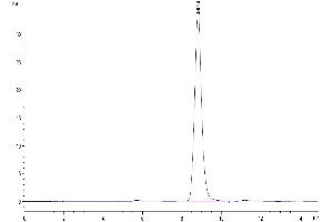 The purity of Mouse EREG is greater than 95 % as determined by SEC-HPLC.
