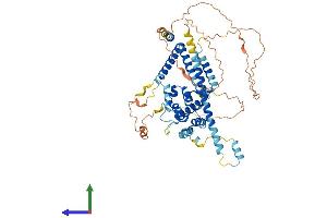 AlphaFold protein structure predicition of Human Recombinant CCDC60 Protein, UniprotID Q8IWA6