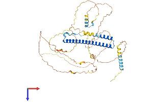 AlphaFold protein structure predicition of Human Recombinant NFIL3 Protein, UniprotID Q16649