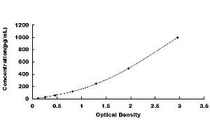Fibroblast Growth Factor 18 (FGF18) ELISA Kit