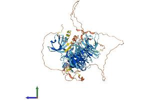 AlphaFold protein structure predicition of Mouse Recombinant Map4k1 Protein, UniprotID P70218