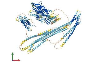 AlphaFold protein structure predicition of Human Recombinant KIF16B Protein, UniprotID Q96L93