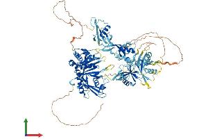AlphaFold protein structure predicition of Human Recombinant USP4 Protein, UniprotID Q13107