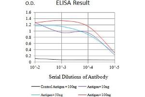 Black line: Control Antigen (100 ng),Purple line: Antigen (10 ng), Blue line: Antigen (50 ng), Red line:Antigen (100 ng) (ATG4A anticorps  (AA 258-398))