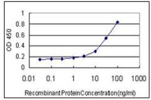 ELISA image for anti-Abhydrolase Domain Containing 5 (ABHD5) antibody (ABIN781986)