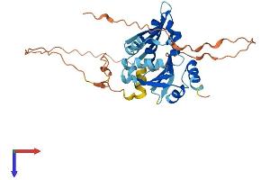 AlphaFold protein structure predicition of Mouse Recombinant Bnipl Protein, UniprotID Q99JU7