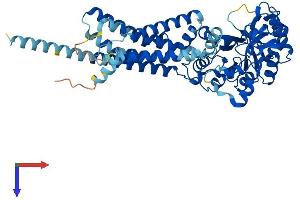 AlphaFold protein structure predicition of Mouse Recombinant Gdpd2 Protein, UniprotID Q9ESM6