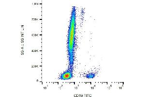 Flow cytometry analysis (surface staining) of human peripheral blood cells with anti-human CD19 (LT19) FITC.