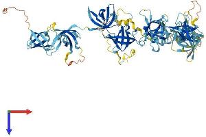 AlphaFold protein structure predicition of Mouse Recombinant Csde1 Protein, UniprotID Q91W50