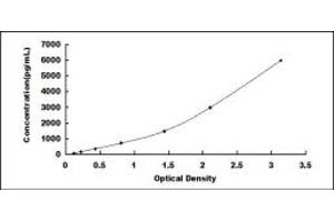 Typical standard curve (PIINP Kit ELISA)