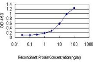Detection limit for recombinant GST tagged CSE1L is approximately 0. (Exportin 2 anticorps  (AA 872-971))