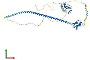 AlphaFold protein structure predicition of Human Recombinant UBXN4 Protein, UniprotID Q92575