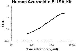 Human Azurocidin PicoKine ELISA Kit standard curve