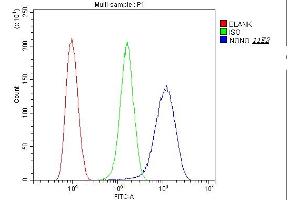 Flow Cytometry analysis of U20S cells using anti-nmt55 p54nrb antibody (ABIN6719600).