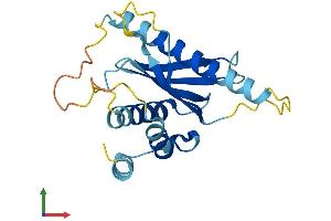AlphaFold protein structure predicition of Human Recombinant AP5S1 Protein, UniprotID Q9NUS5