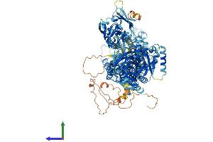 AlphaFold protein structure predicition of Human Recombinant ATP11B Protein, UniprotID Q9Y2G3