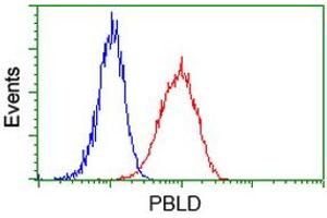 Flow cytometric Analysis of Hela cells, using anti-PBLD antibody (ABIN2453424), (Red), compared to a nonspecific negative control antibody (TA50011), (Blue).