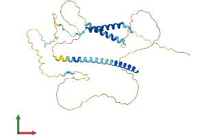 AlphaFold protein structure predicition of Human Recombinant MFF Protein, UniprotID Q9GZY8