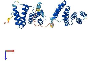 AlphaFold protein structure predicition of Human Recombinant TOMM34 Protein, UniprotID Q15785