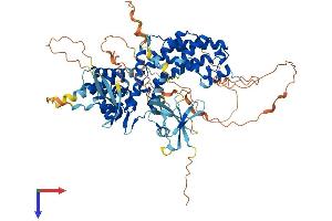 AlphaFold protein structure predicition of Human Recombinant RGL3 Protein, UniprotID Q3MIN7