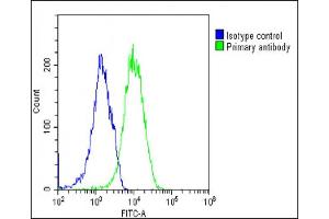 Overlay histogram showing U-2 OS cells stained with (ABIN6243199 and ABIN6577243)(green line).