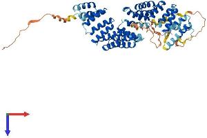 AlphaFold protein structure predicition of Human Recombinant BBS4 Protein, UniprotID Q96RK4