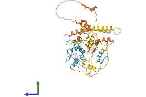 AlphaFold protein structure predicition of Human Recombinant ZNF655 Protein, UniprotID Q8N720