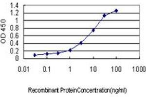 Detection limit for recombinant GST tagged RAPGEF2 is approximately 0.